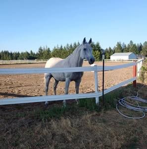 Meet your Posher, Howells